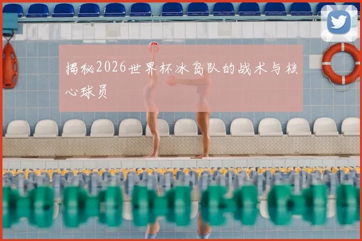 揭秘2026世界杯冰岛队的战术与核心球员